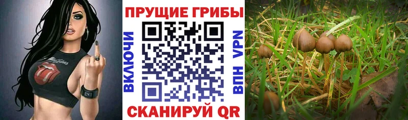 Псилоцибиновые грибы Magic Shrooms  Южа 