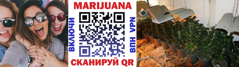 Каннабис сатива  Южа 